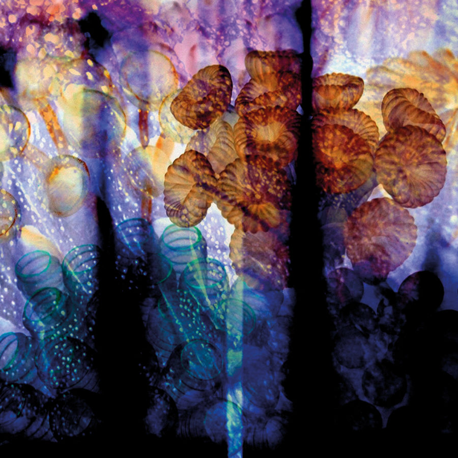 Un.der.sea | Print
